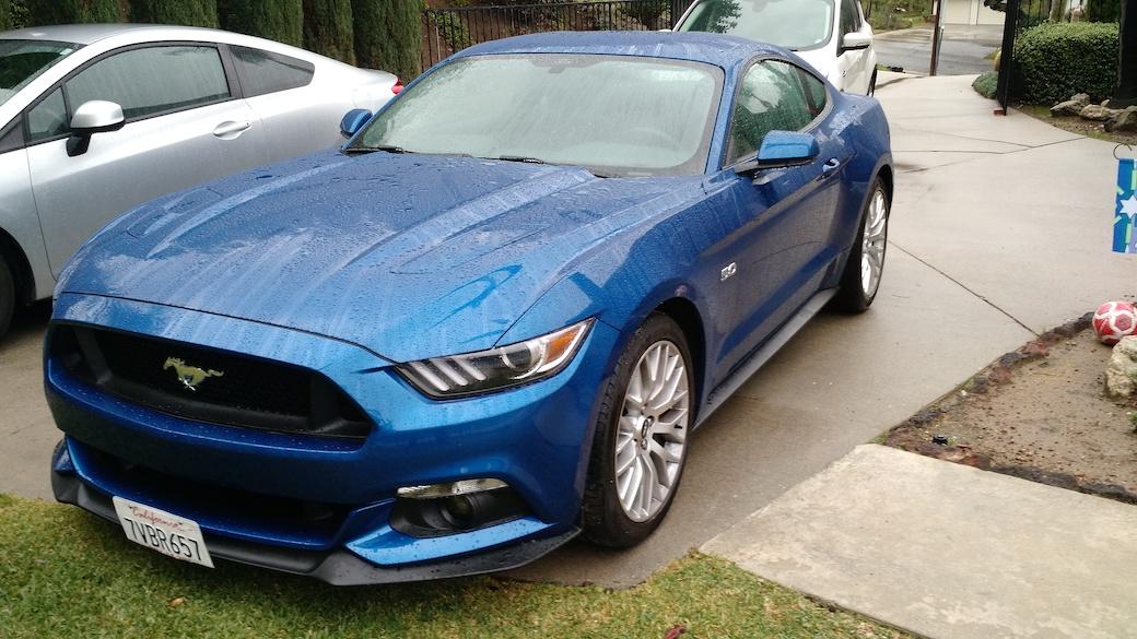 wetstang1.jpg