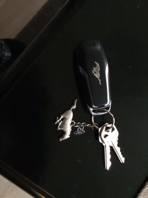 Show off your key chains | Page 2 | 2015+ S550 Mustang Forum (GT ...