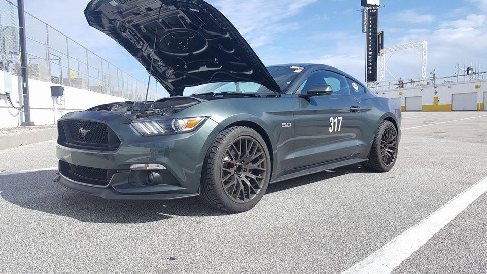 Sally at Daytona.jpg