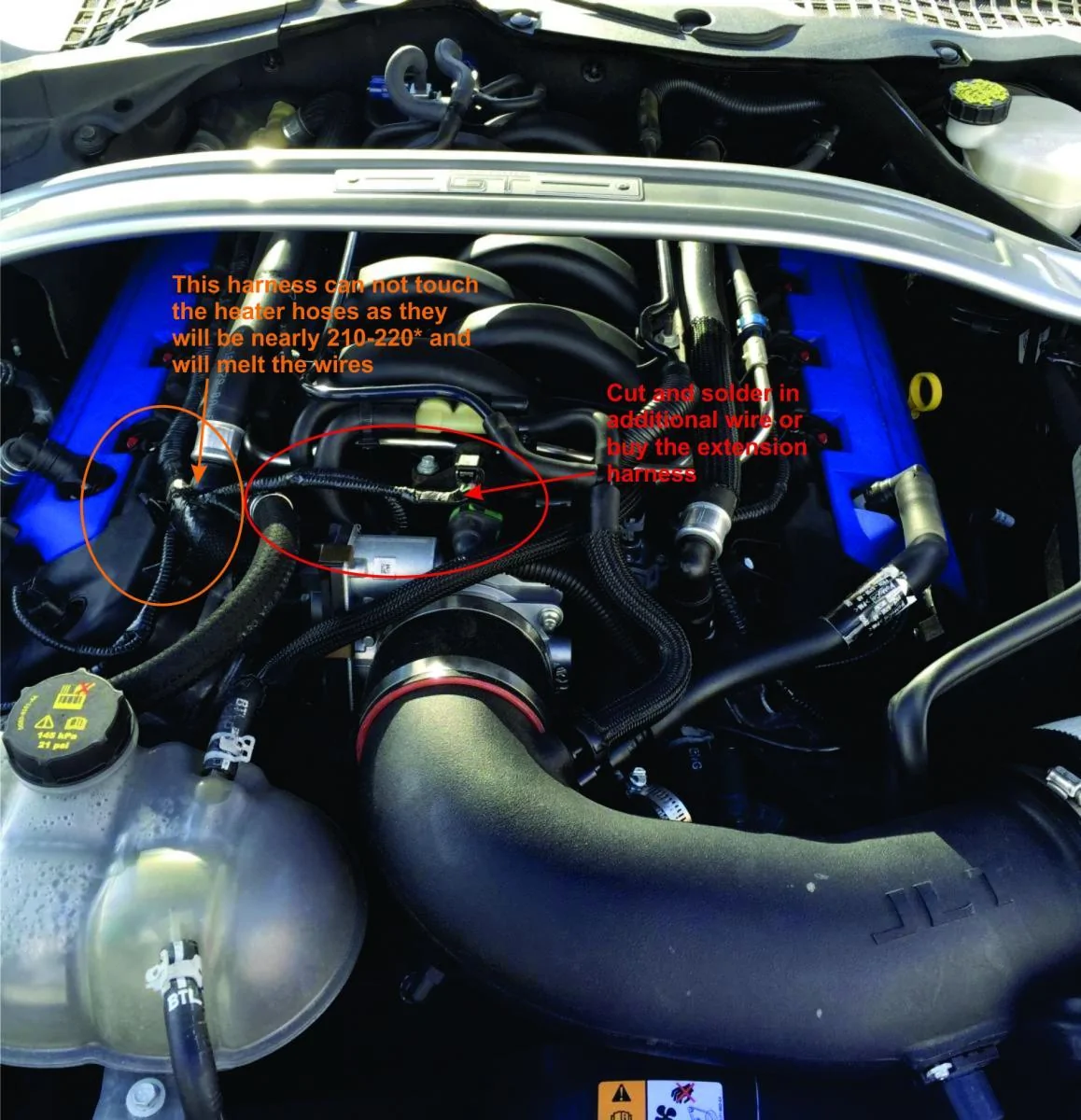 Evap wire and heater hose GT350 2.webp