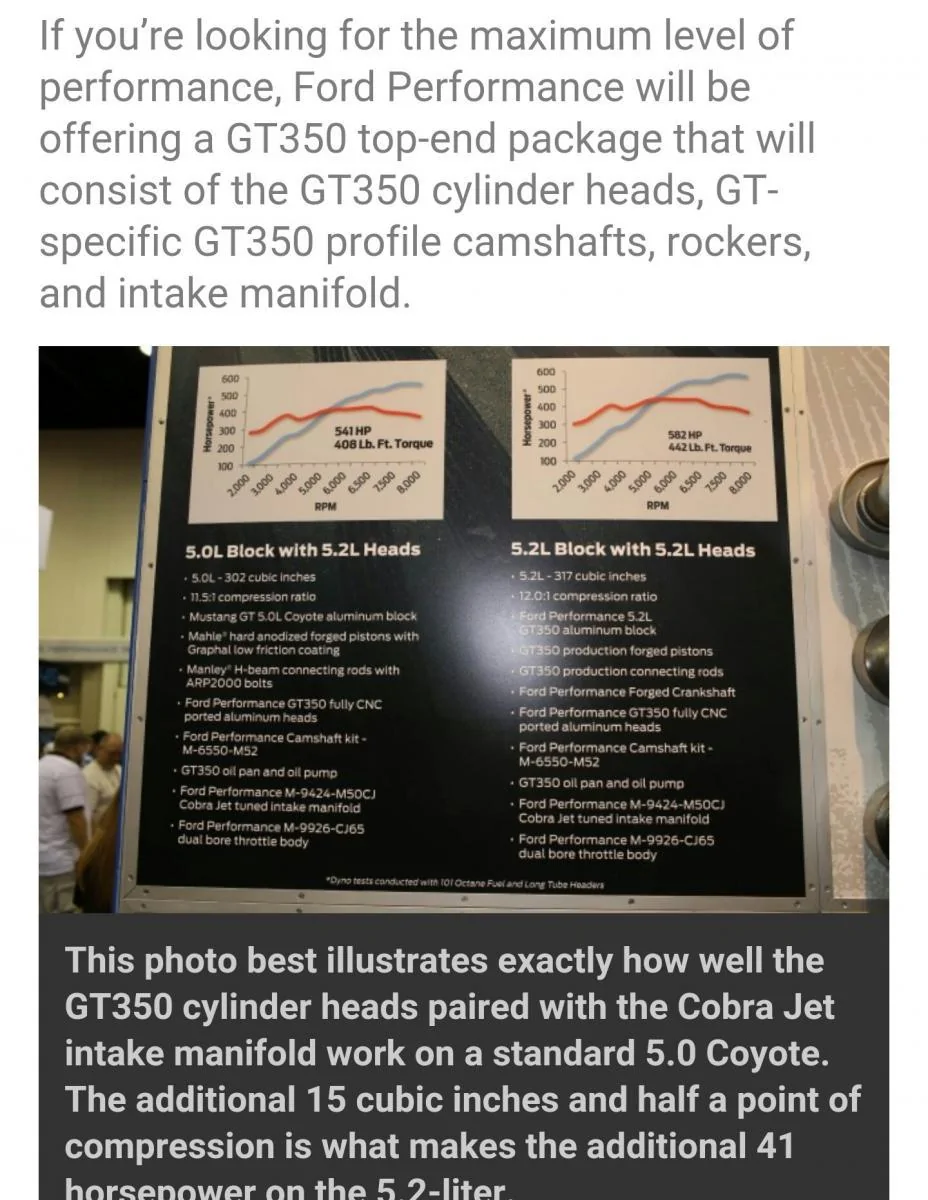 12491840_10205445150548835_6724703623279161272_o.webp