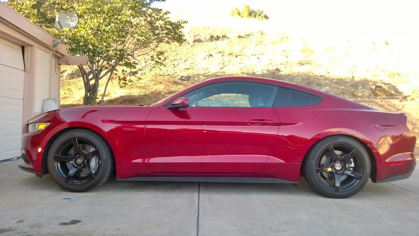 Mustang Left.webp