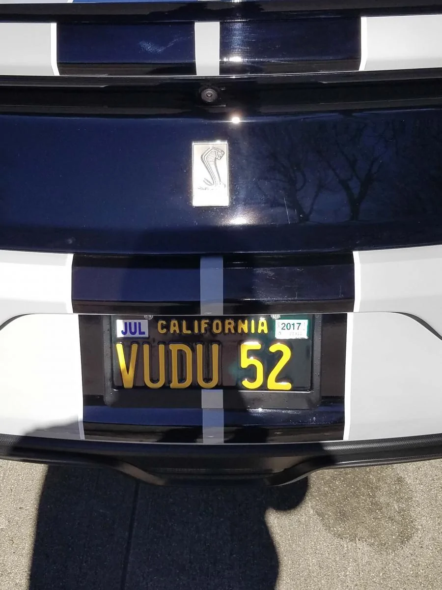 Plate vinyl with stripes.webp