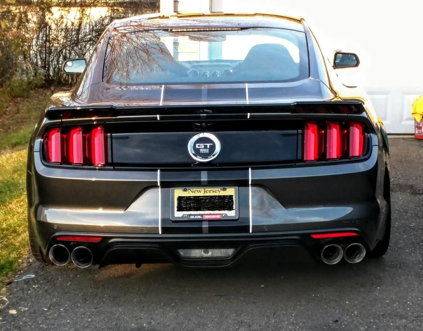 rear shot.webp