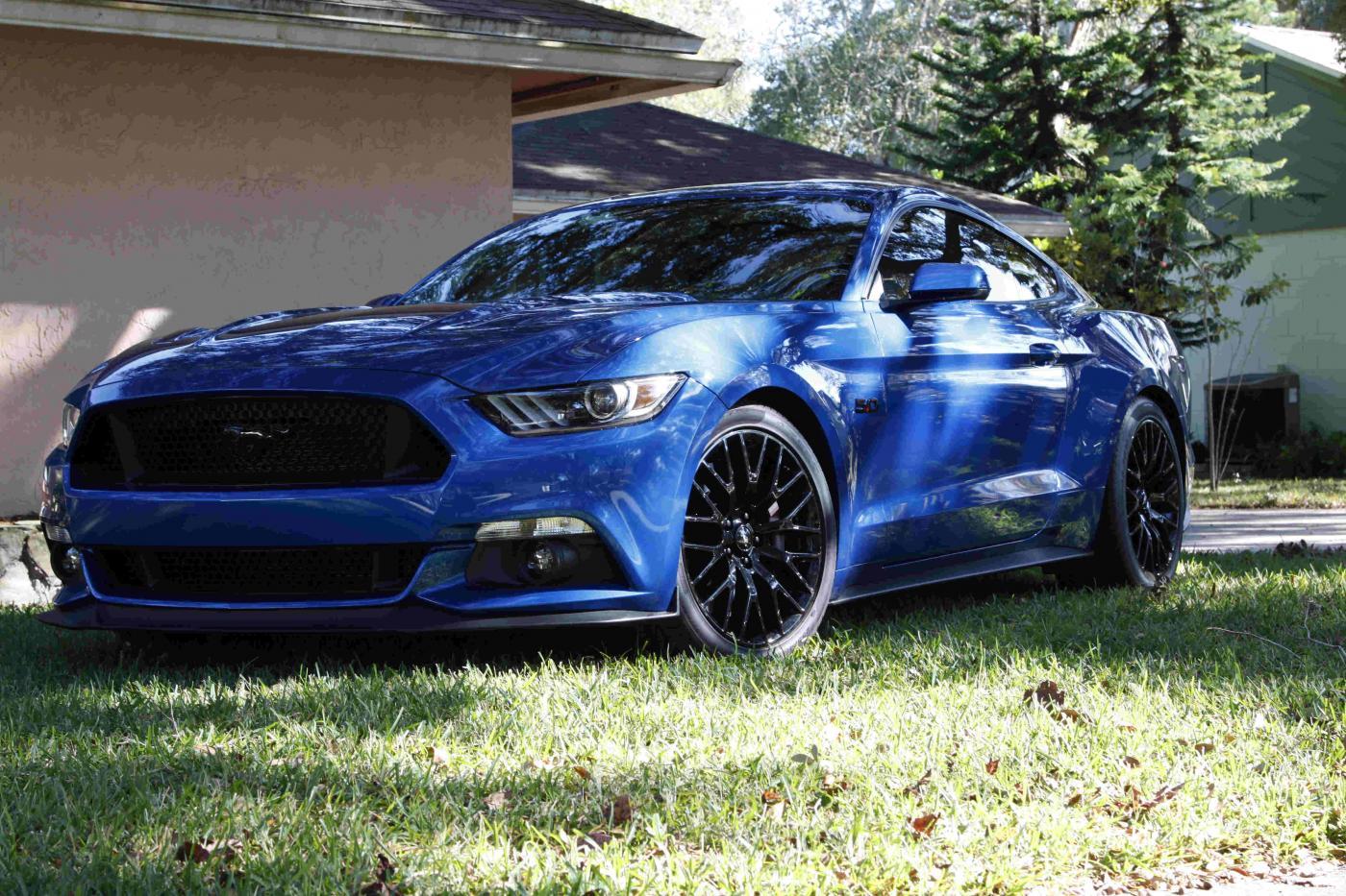 Stang1-small.jpg
