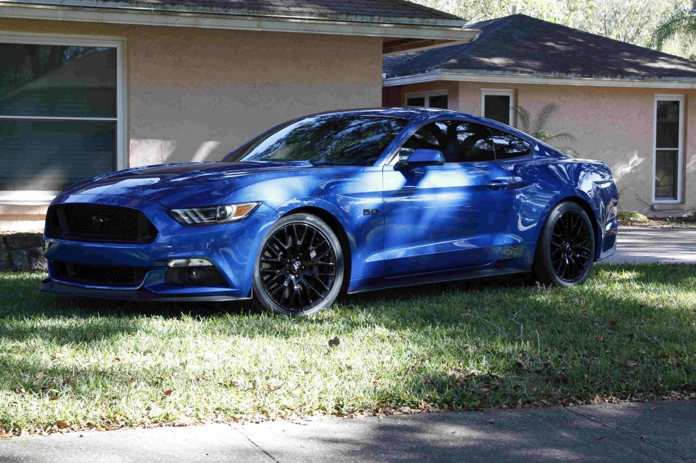Stang2-small.jpg