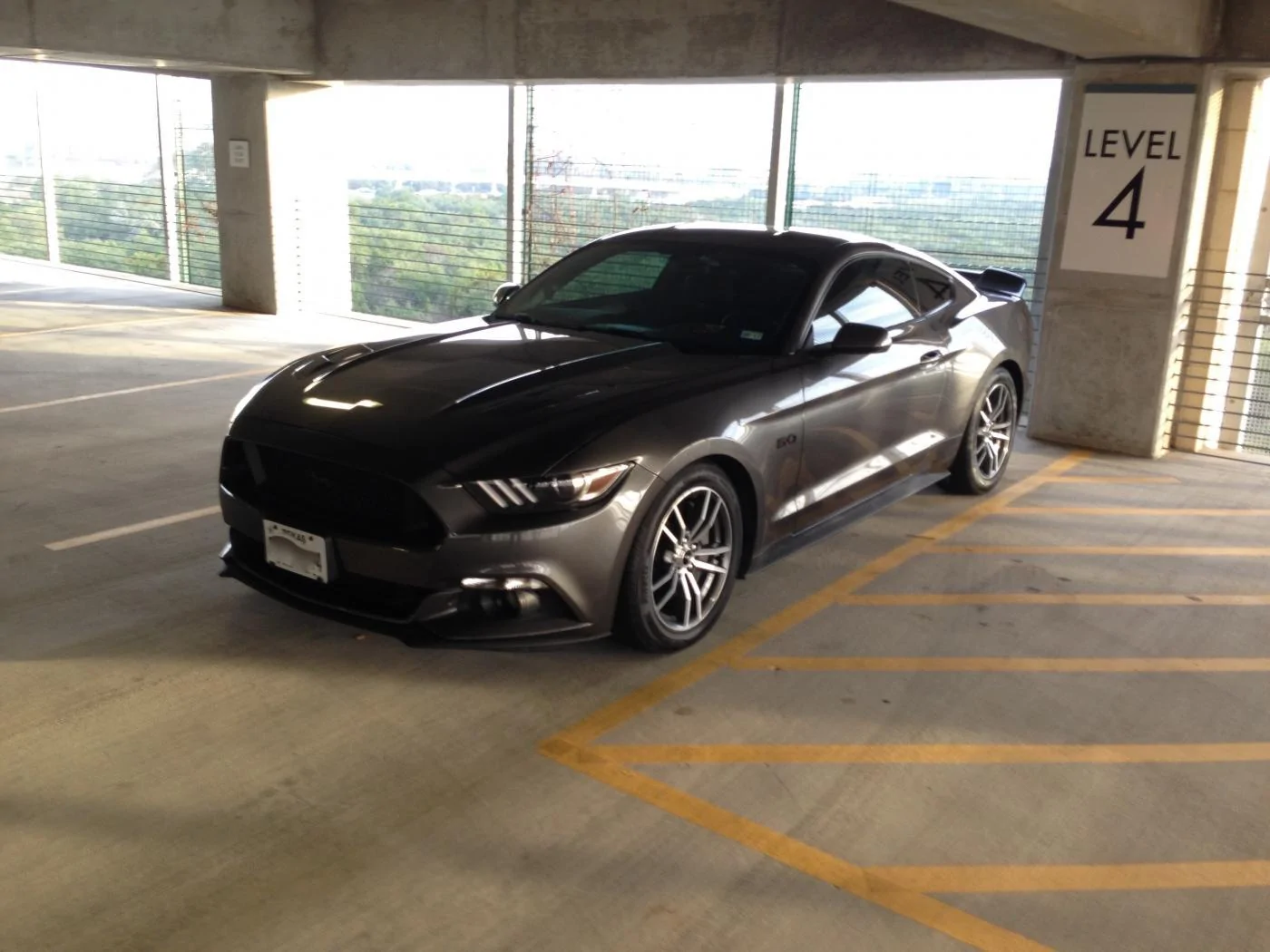 IMG_0593 (1).webp