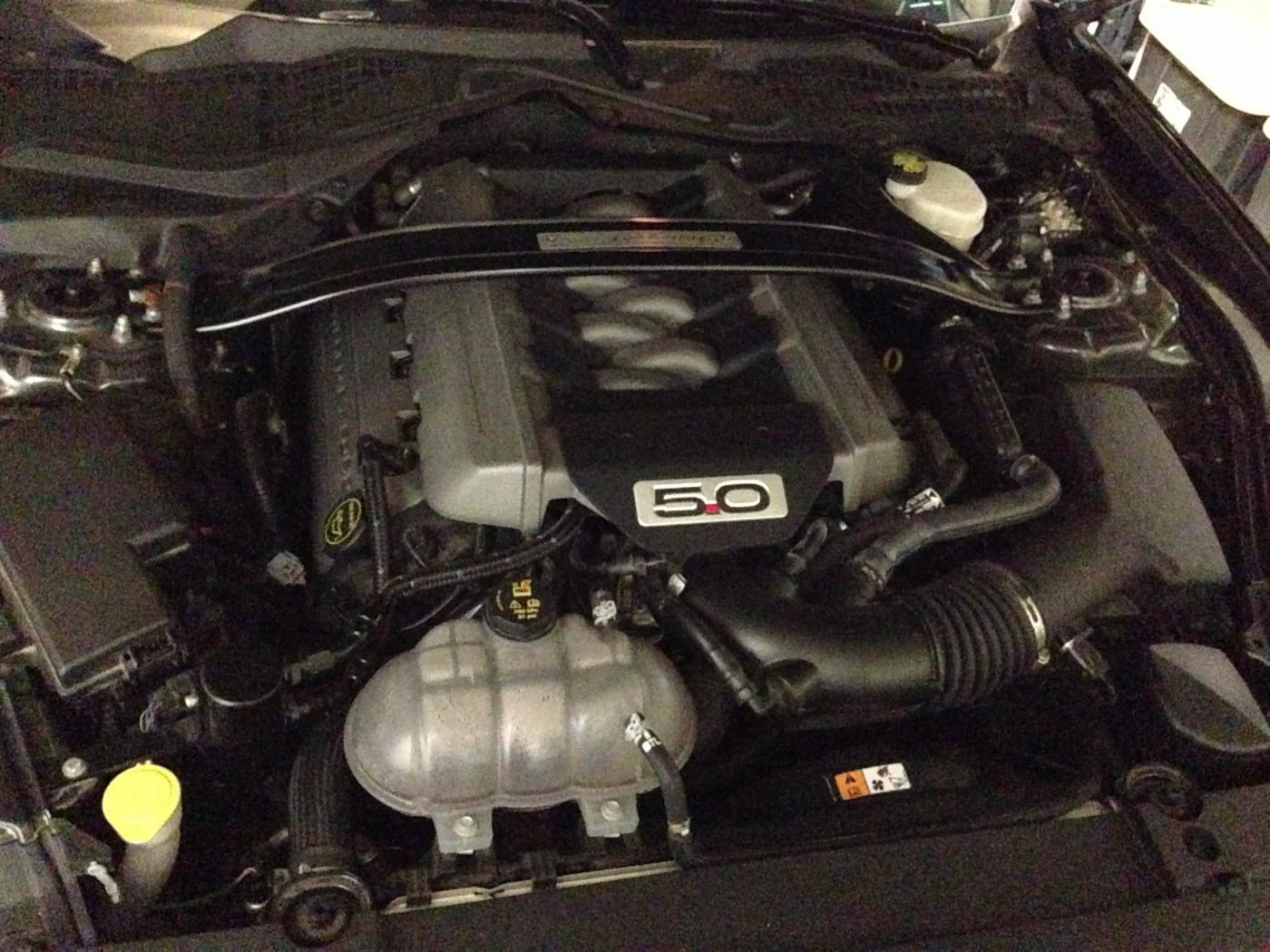 image3.webp