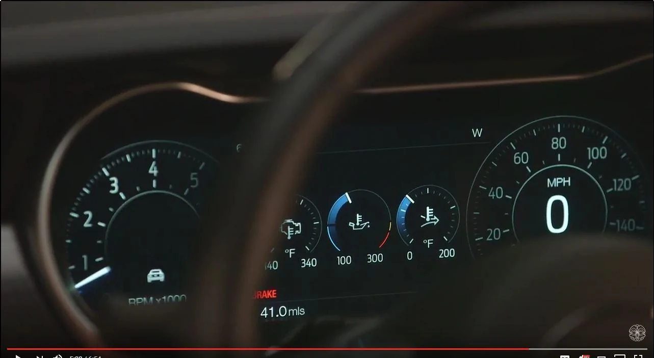 mustang4.webp