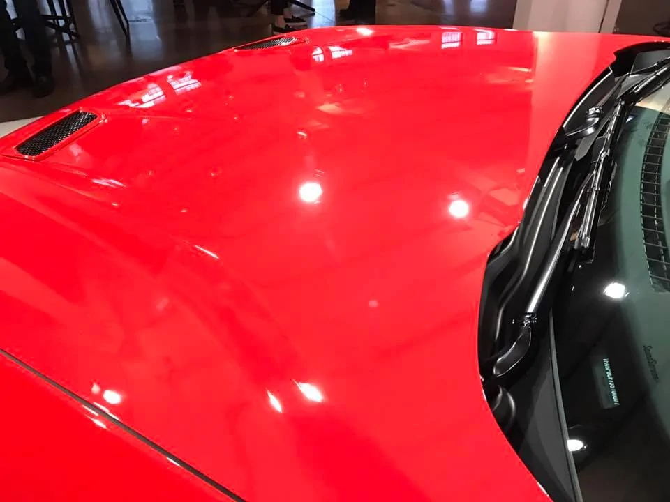 15977568_10208792079019087_7892452812075550192_n.webp