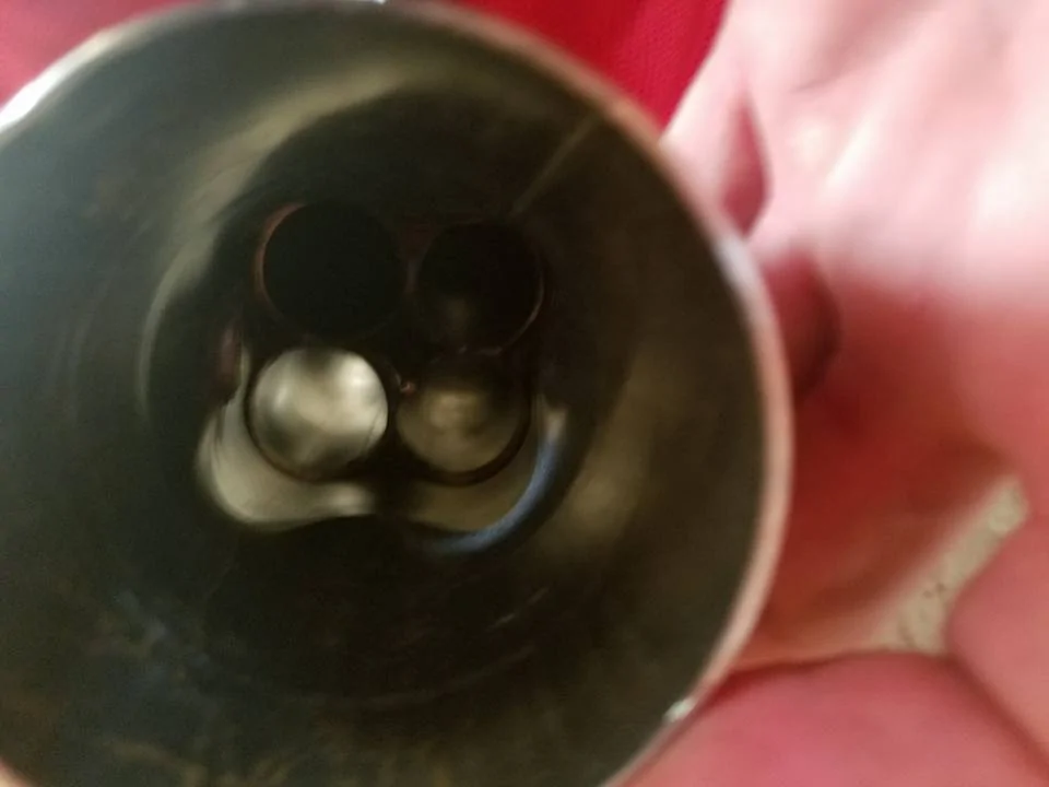 13962587_10210383048959026_6076858669517319443_n.webp