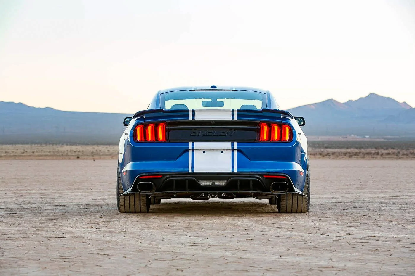50th-Anniversary-2017-Shelby-Super-Snake-24.webp