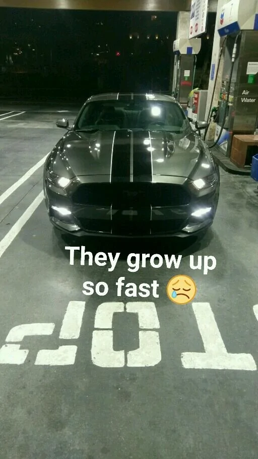 Snapchat-1532297875.webp