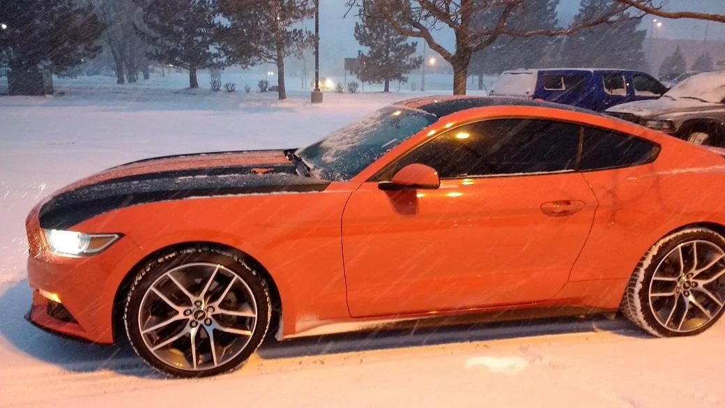 snowstang.webp