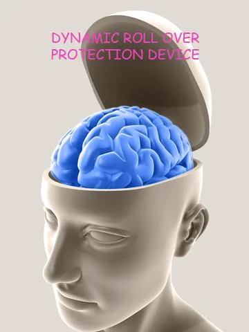 brain.webp