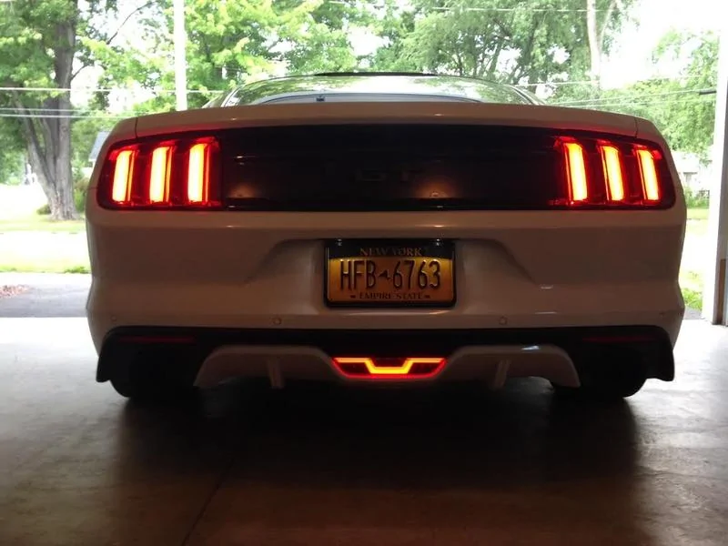 Mustang_10.webp