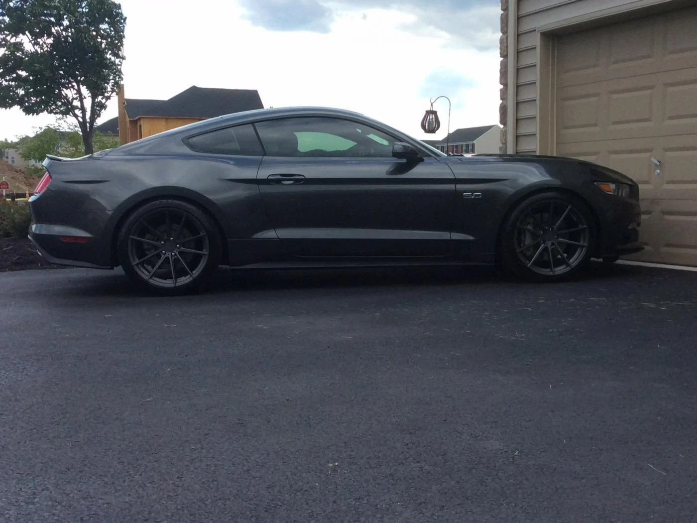 Mustang.webp