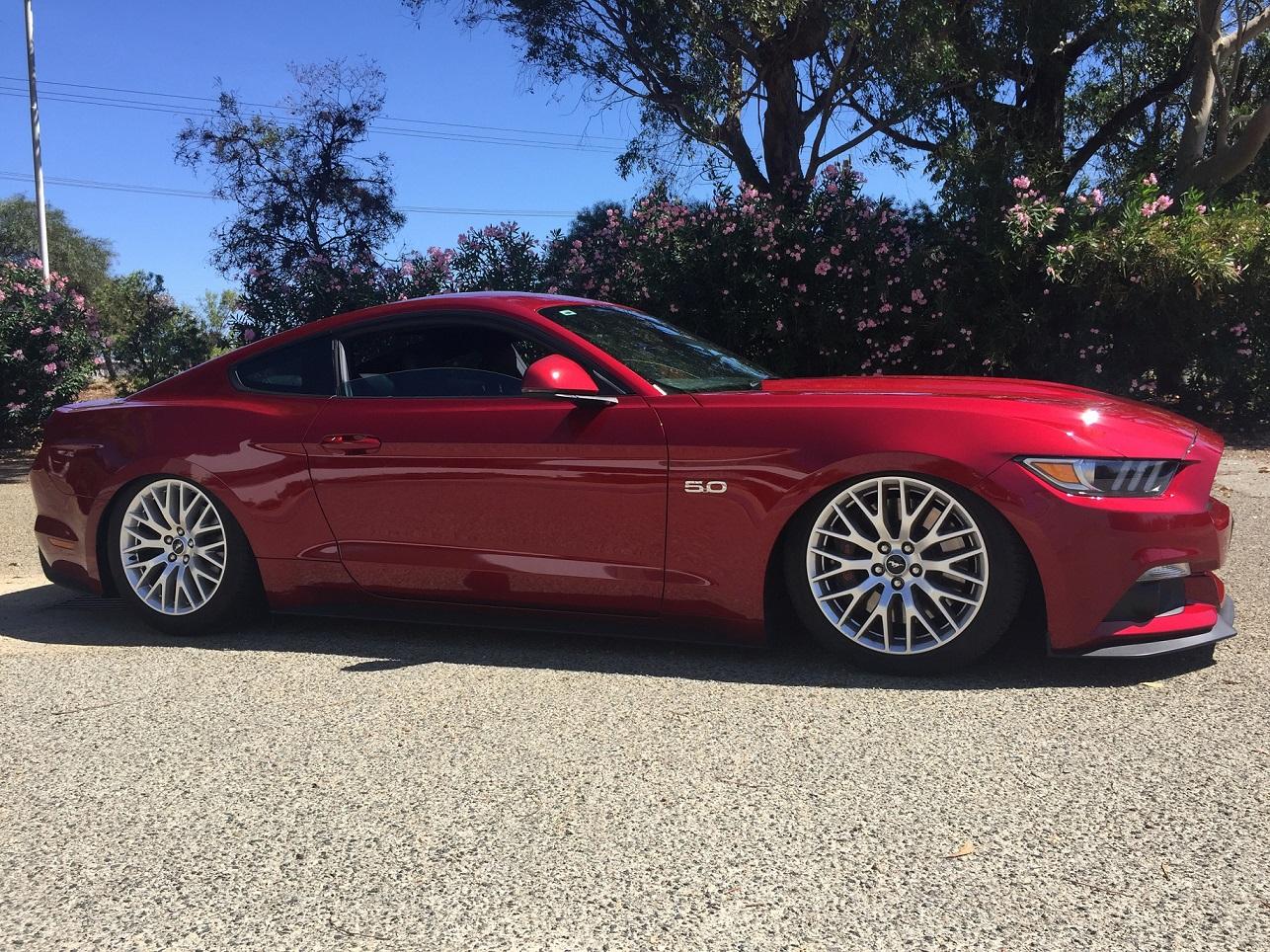 Scrapin2.jpg