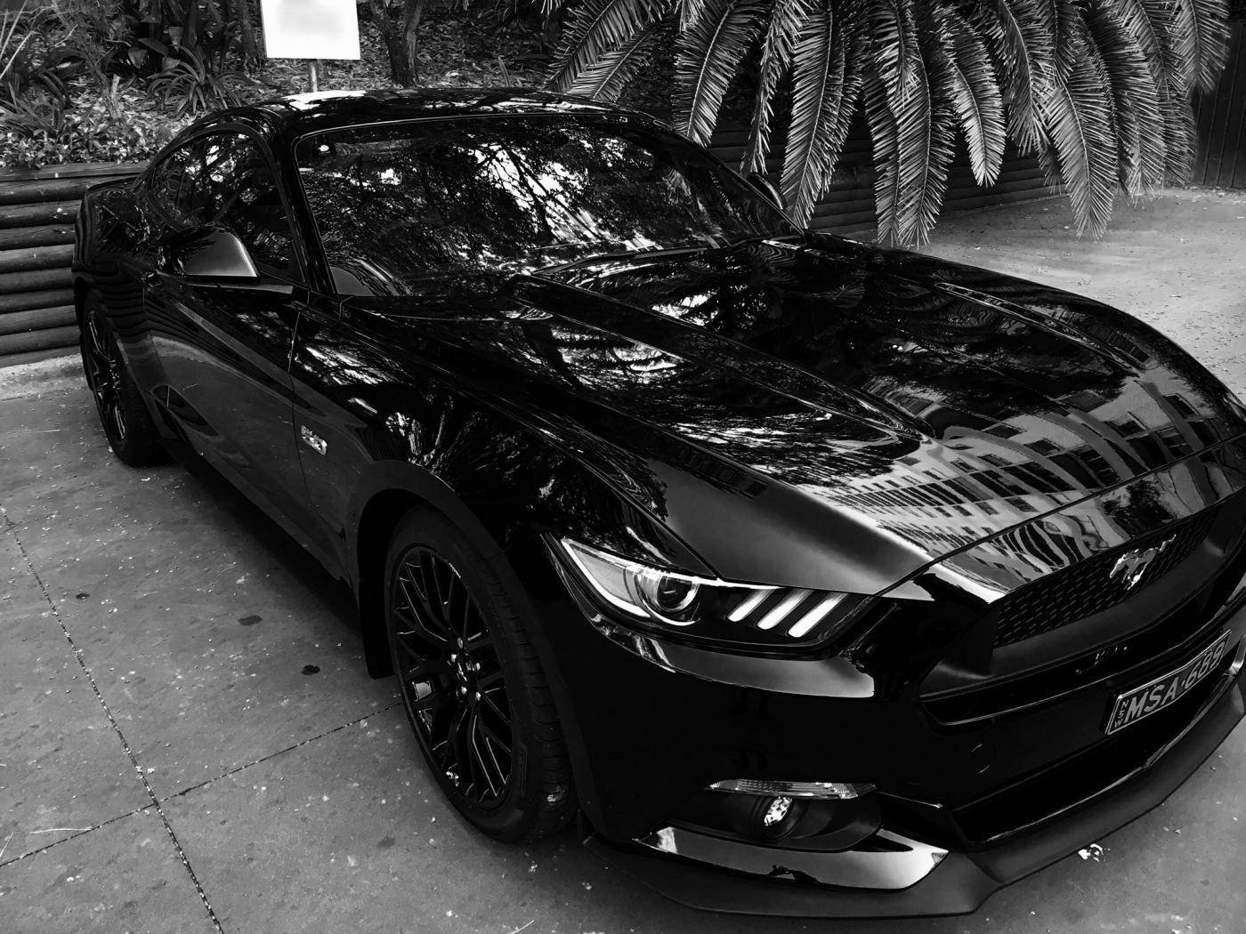 Selene B&W.jpg