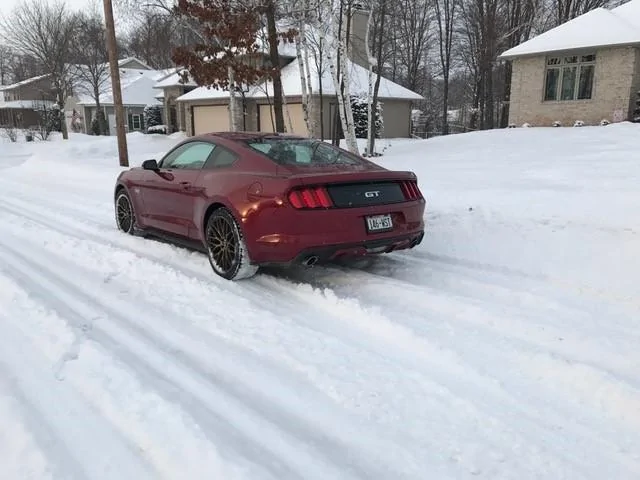 16_GT_winter.webp
