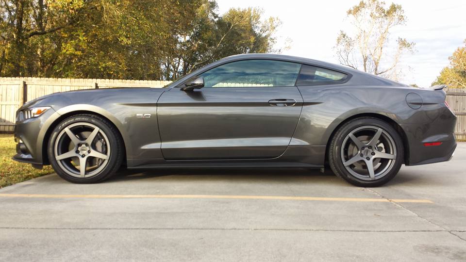 Stang1.jpg
