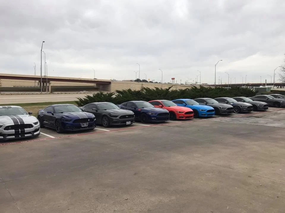16114189_10211771501350060_4944793792767543561_n.webp