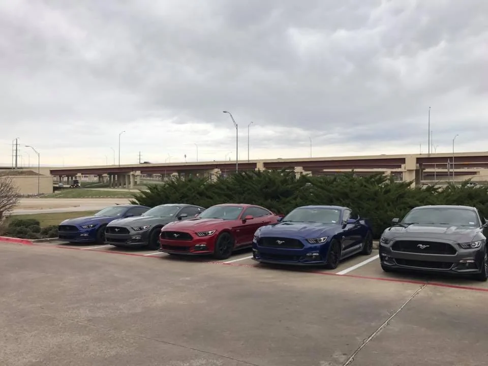 16114884_10211771475149405_7253728358361536549_n.webp