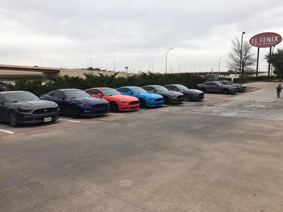 16196020_10211771475469413_5616993121047540505_n.webp
