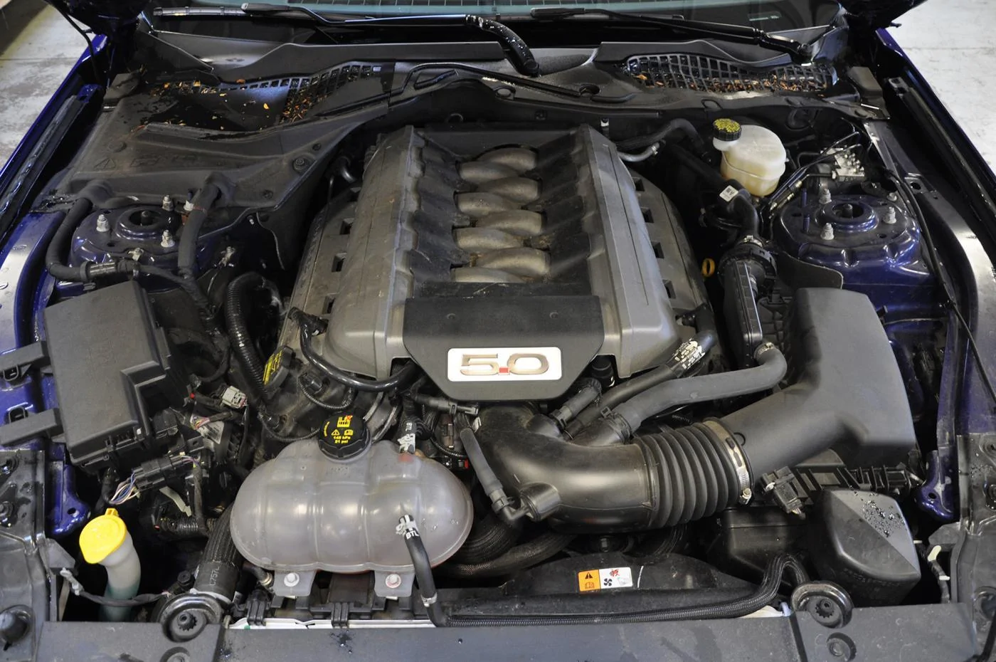 Engine SMALL (1).webp