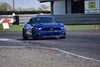 Racing Shark