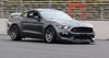 GT350R