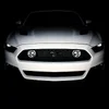 Foglit S550