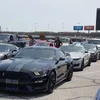 Lined up at TMS.webp