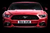 Manders Mustang