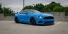 Hans's "Blustang" S550 GT