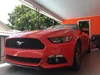 Orange Hooptie