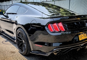 Mustang1.jpg