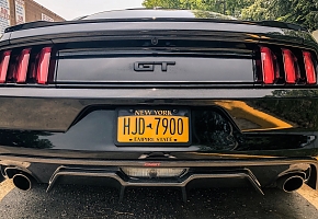 Mustang2.jpg