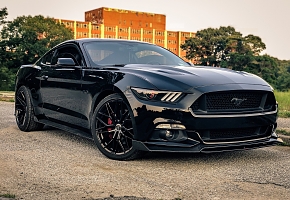 Mustang4.jpg