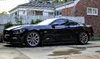 15 Shadow Stang