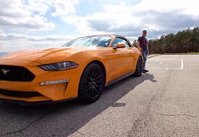 Orange Fury