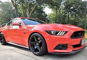 6gr5 (1).jpg