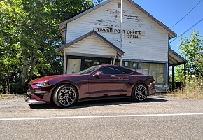 18' GT Royal Crimson w/PP2