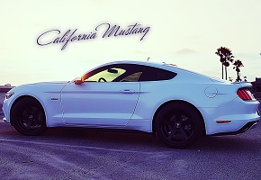 california-car.jpg