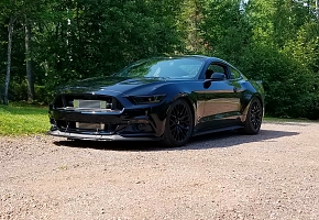 Mid life