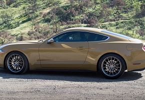 OLIVE GT