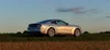 mustangcache_842823.webp
