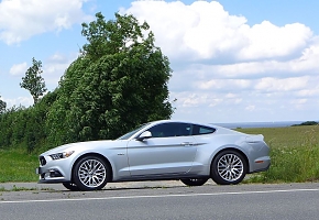 Silvy 5.0 Mustang GT Auto PP Elena Bücker Alois Buecker 46.JPG