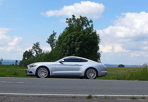 Silvy 5.0 Mustang GT Auto PP Elena Bücker Alois Buecker 49.JPG