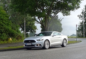Silvy 5.0 Mustang GT Auto PP Elena Bücker Alois Buecker 54.JPG
